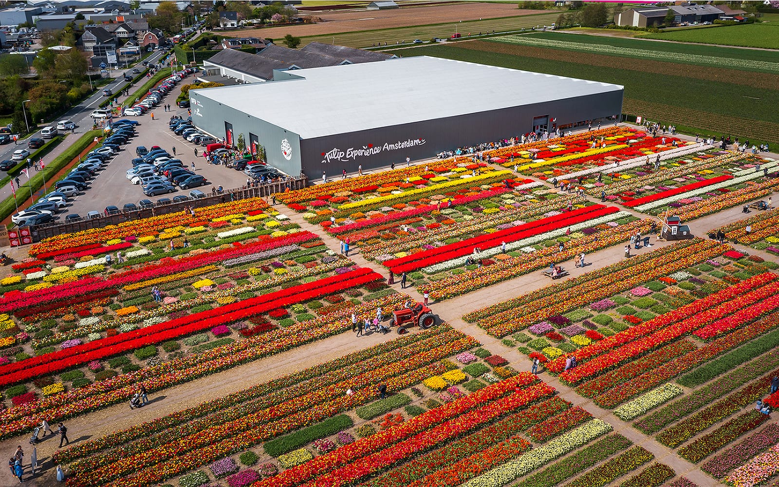 Tulip Experience Amsterdam Tickets in Amsterdam | TickYourList