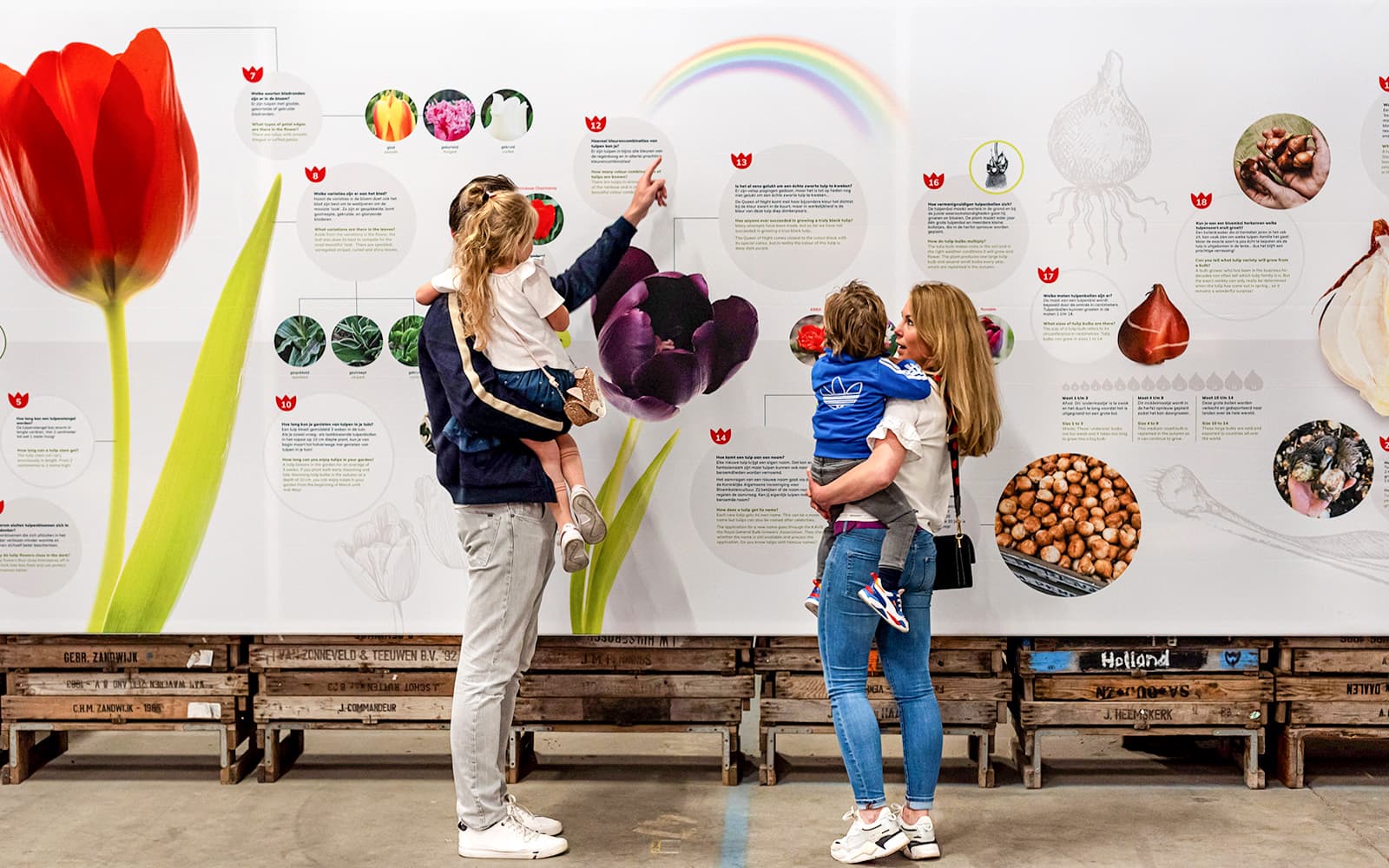 Tulip Experience Amsterdam Tickets in Amsterdam - Highlights | TickYourList