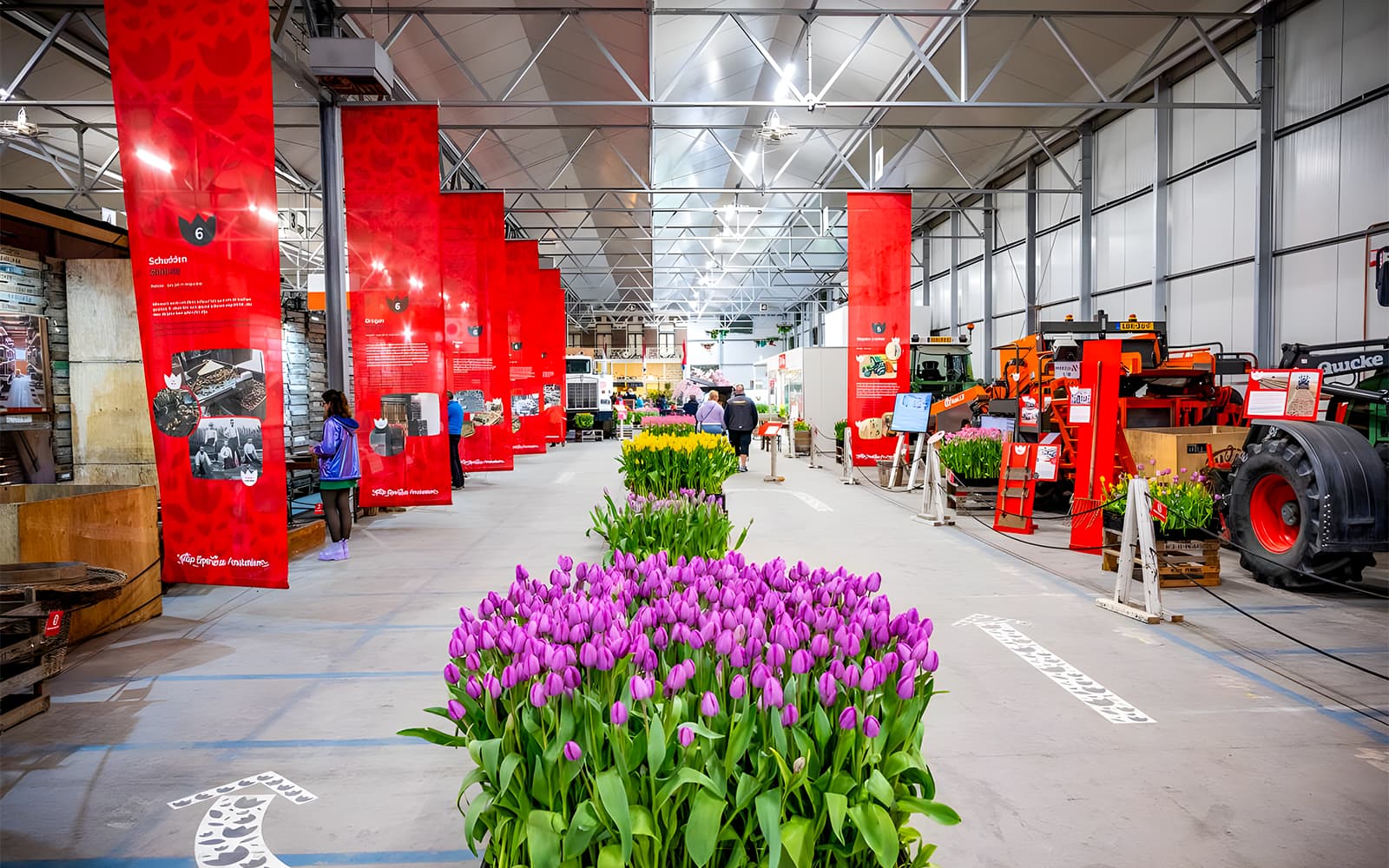 Tulip Experience Amsterdam Tickets in Amsterdam - Features | TickYourList
