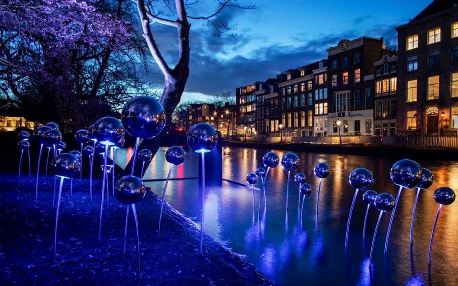 Amsterdam Light Festival Cruise with Cheese and Wine tickets in Amsterdam - Features | TickYourList