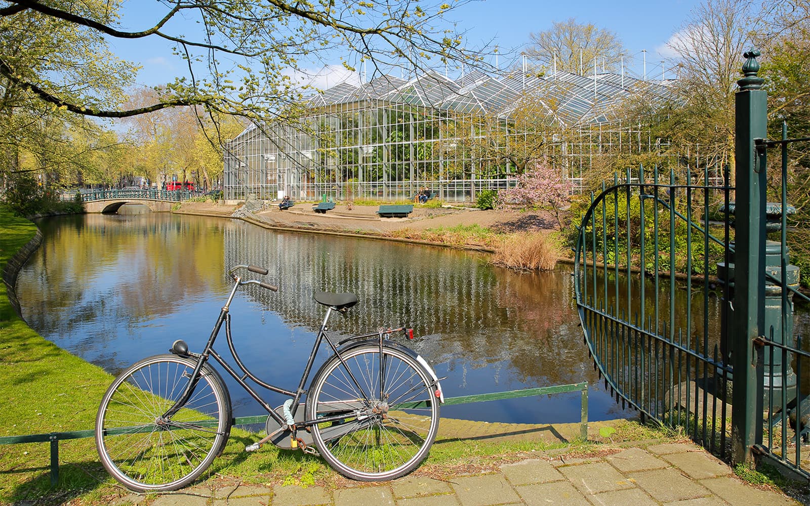 Small-Group Amsterdam Hidden Gems Walking Tour tickets in Amsterdam - Highlights | TickYourList