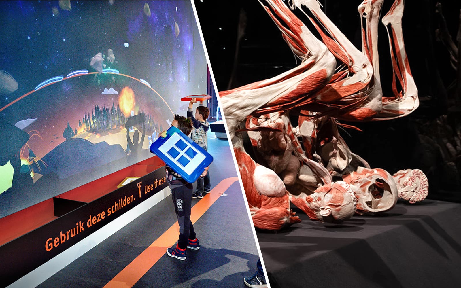 Combo (Save 5%): NEMO Science Museum + Body Worlds Amsterdam Tickets experience in Amsterdam | TickYourList