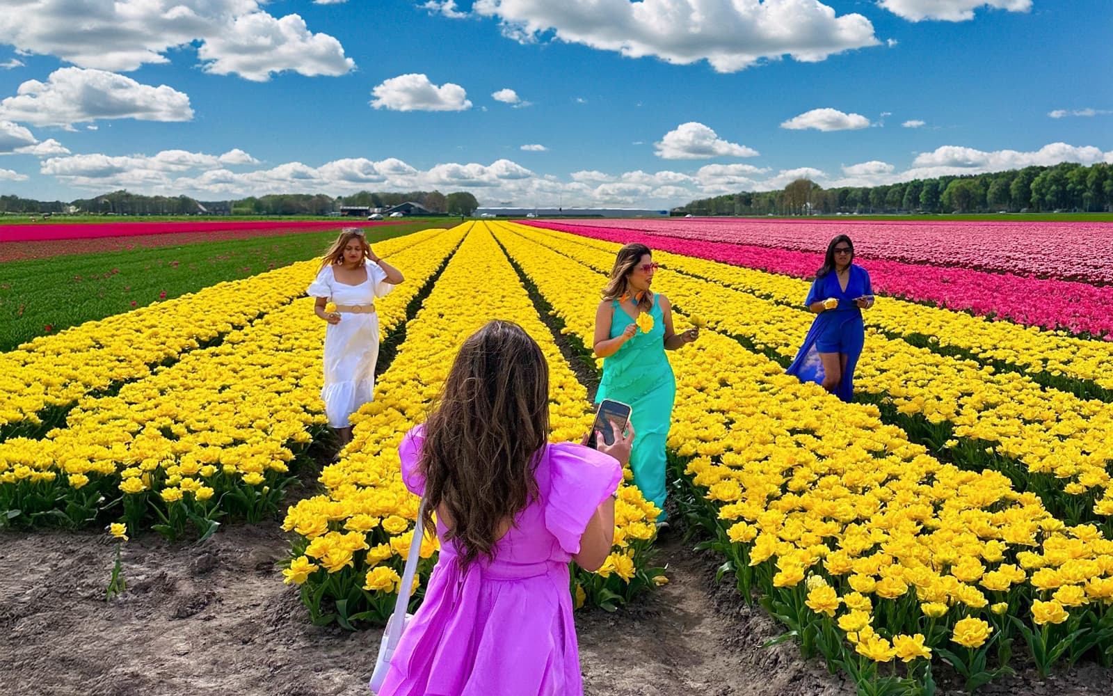 From Amsterdam: Tulip Fields Small Group Tour with Lunch/Dinner tickets in Amsterdam - Attractions | TickYourList