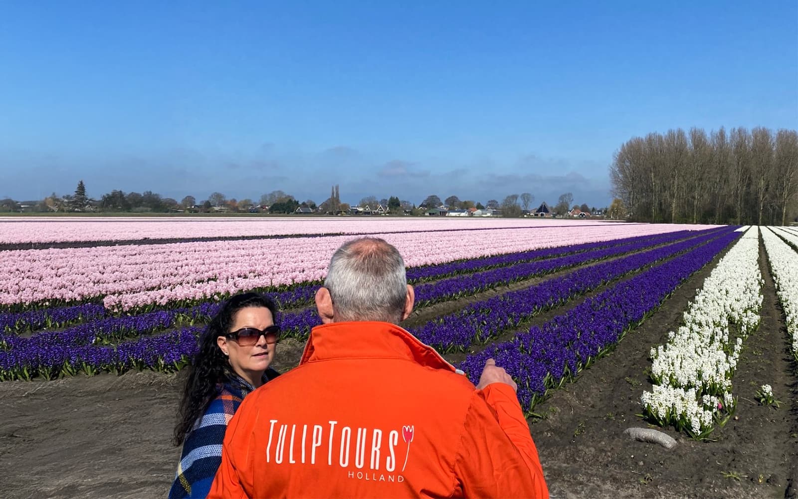 From Amsterdam: Tulip Fields Small Group Tour with Lunch/Dinner tickets in Amsterdam - Highlights | TickYourList
