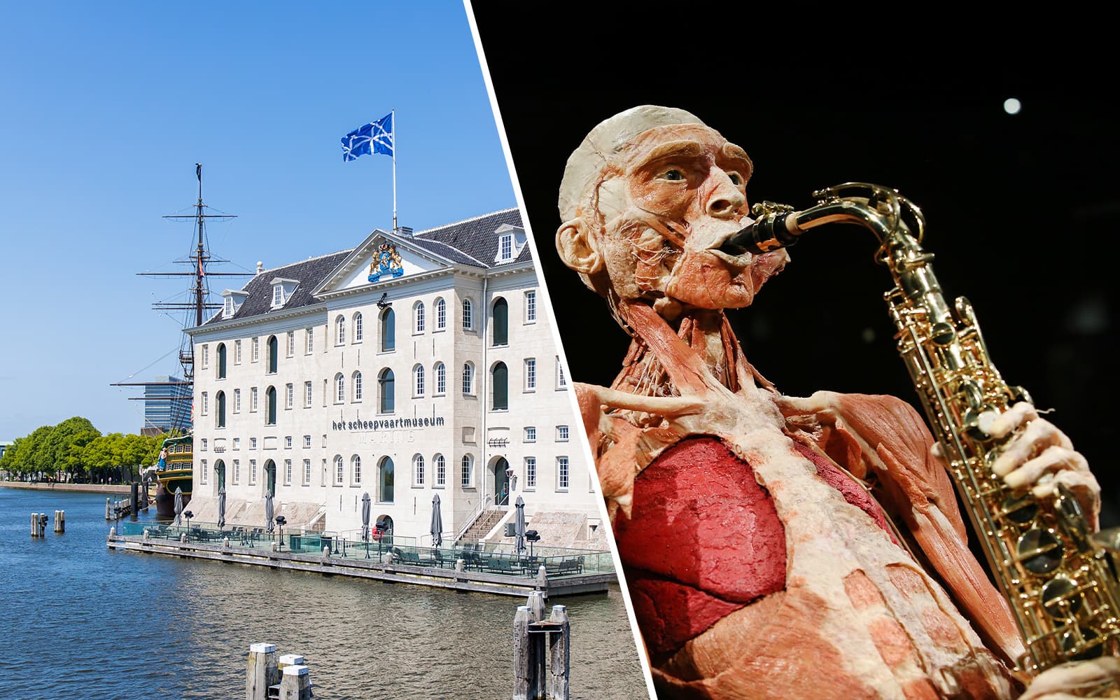 Combo (Save 7%): National Maritime Museum + Body Worlds Amsterdam Tickets