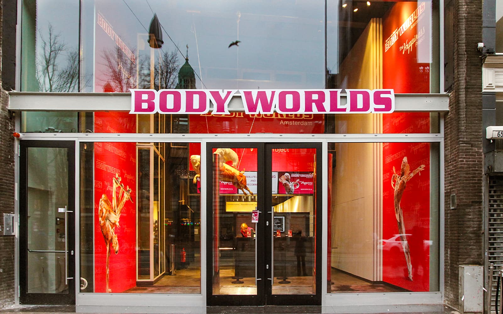 Combo (Save 7%): National Maritime Museum + Body Worlds Amsterdam Tickets in Amsterdam - Highlights | TickYourList