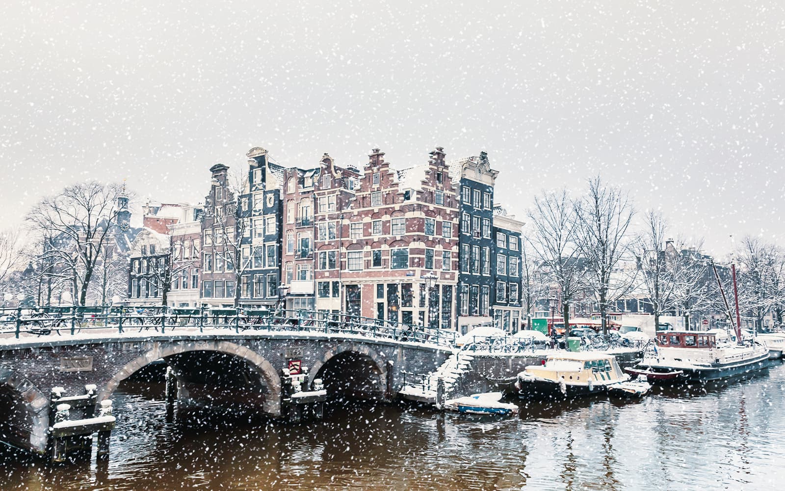 Combo (Save 9%): Amsterdam Light Festival Small Group Cruise & Walking Tour tickets in Amsterdam - Highlights | TickYourList