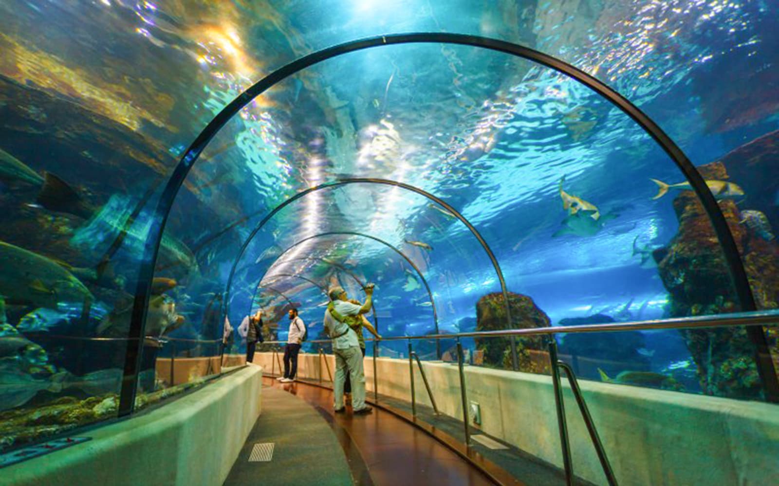 Combo (Save 5%): Barcelona Zoo + Aquarium Barcelona Tickets in Barcelona - Highlights | TickYourList
