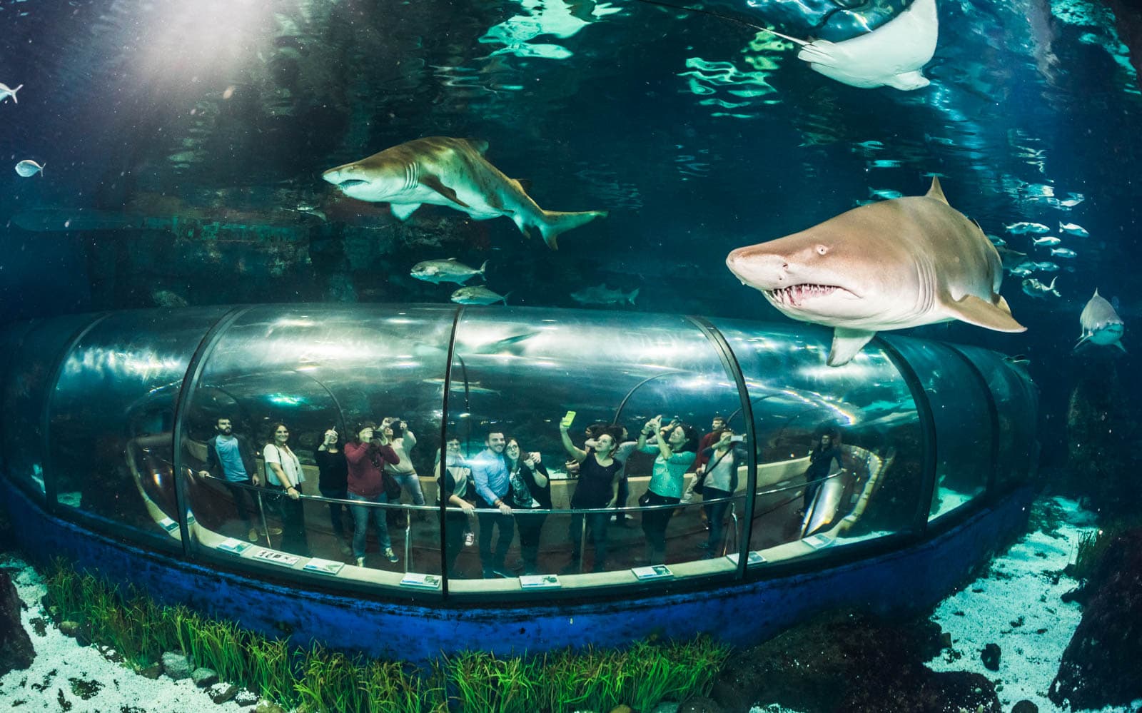 Combo (Save 5%): Barcelona Zoo + Aquarium Barcelona Tickets in Barcelona - Features | TickYourList