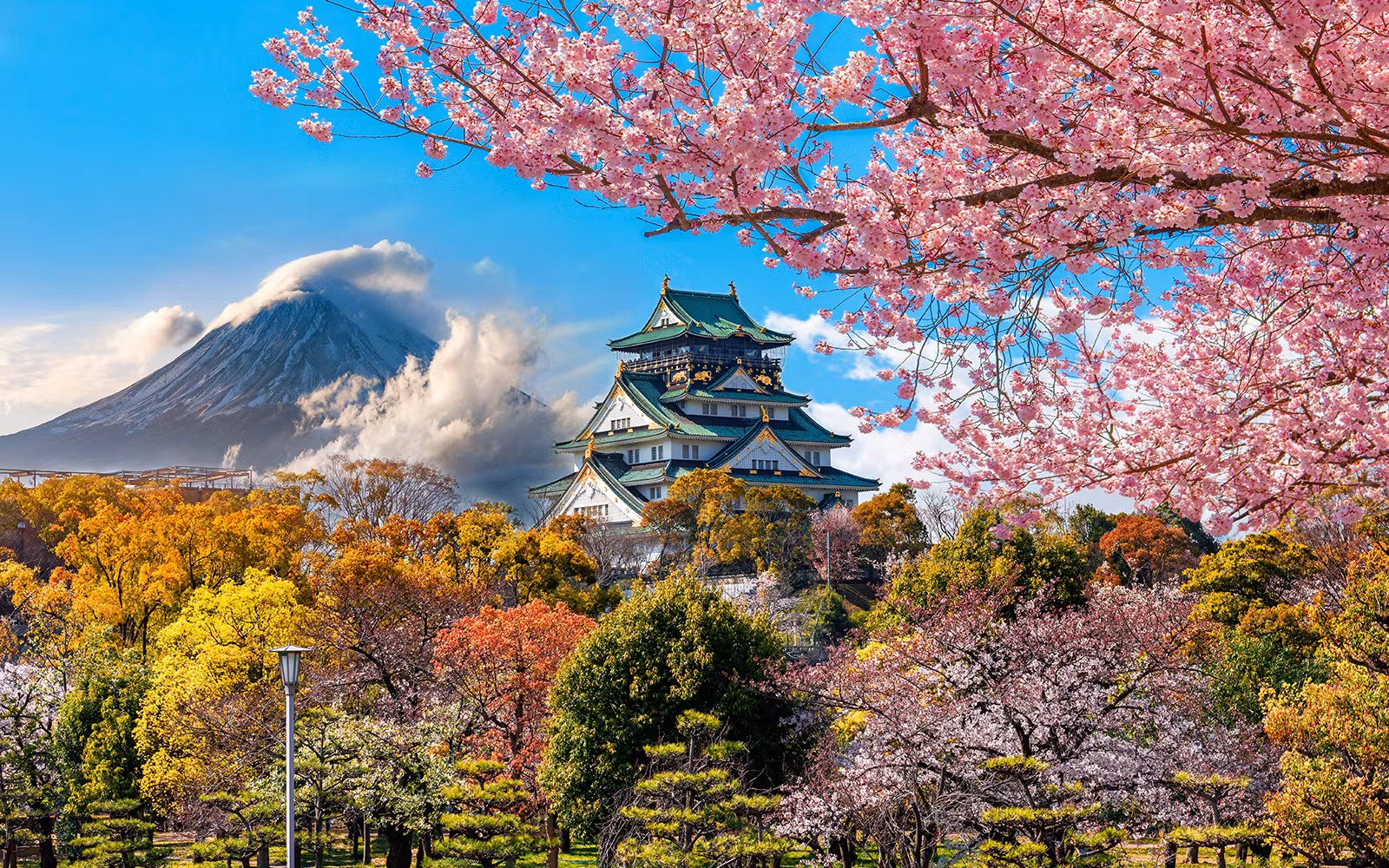 JR West Kansai Area Rail Pass tickets in Osaka - Activities | TickYourList