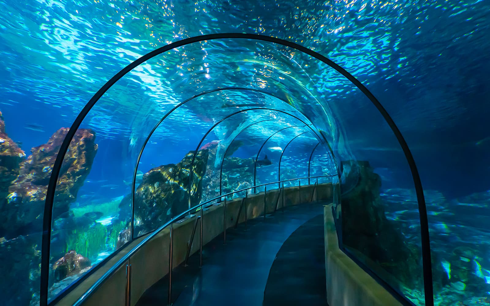 Barcelona Aquarium Skip-the-Line Tickets in Barcelona - Attractions | TickYourList