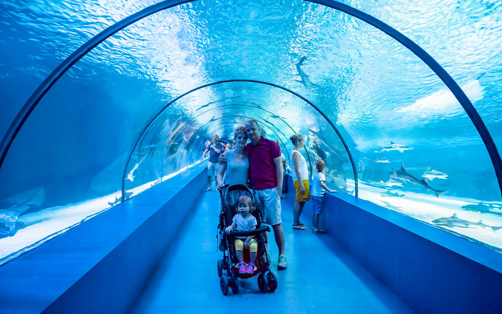 Barcelona Aquarium Skip-the-Line Tickets in Barcelona - Activities | TickYourList