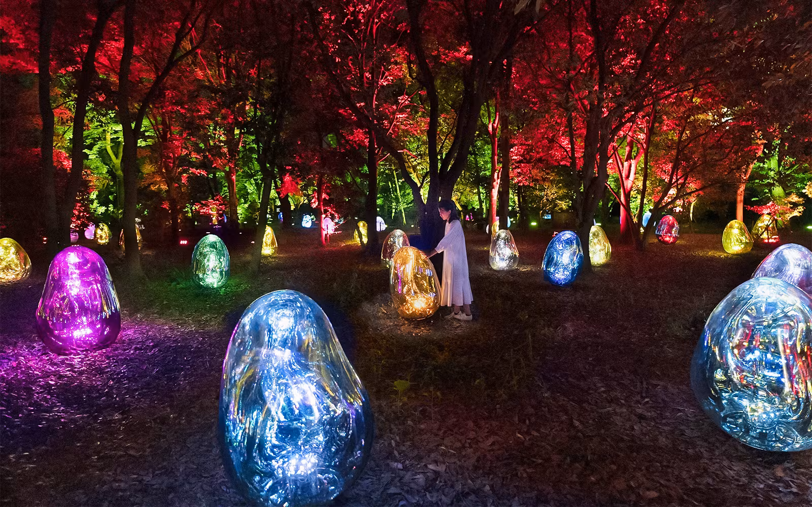 Tickets to teamLab Botanical Garden in Osaka