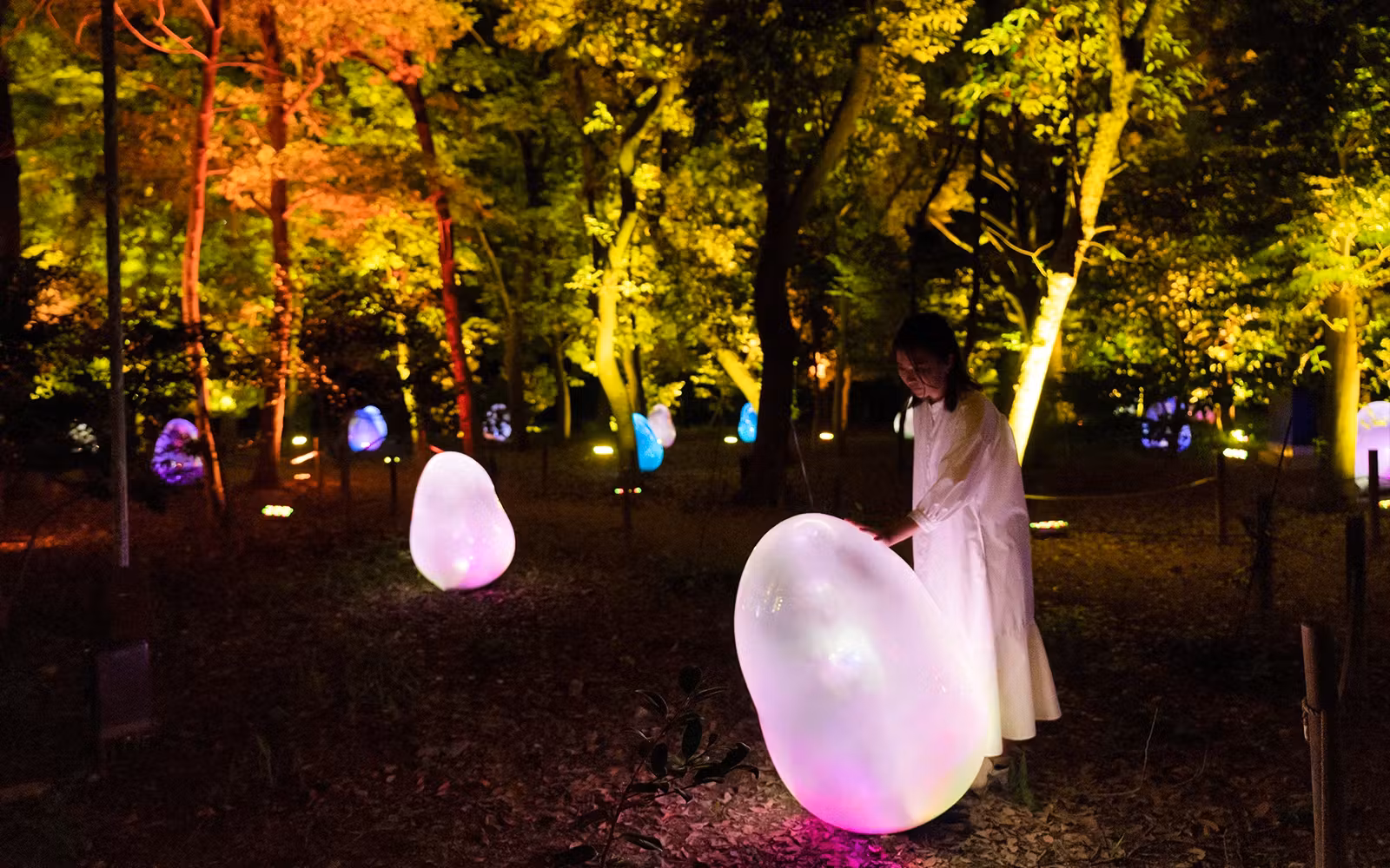 Tickets to teamLab Botanical Garden in Osaka in Osaka - Features | TickYourList