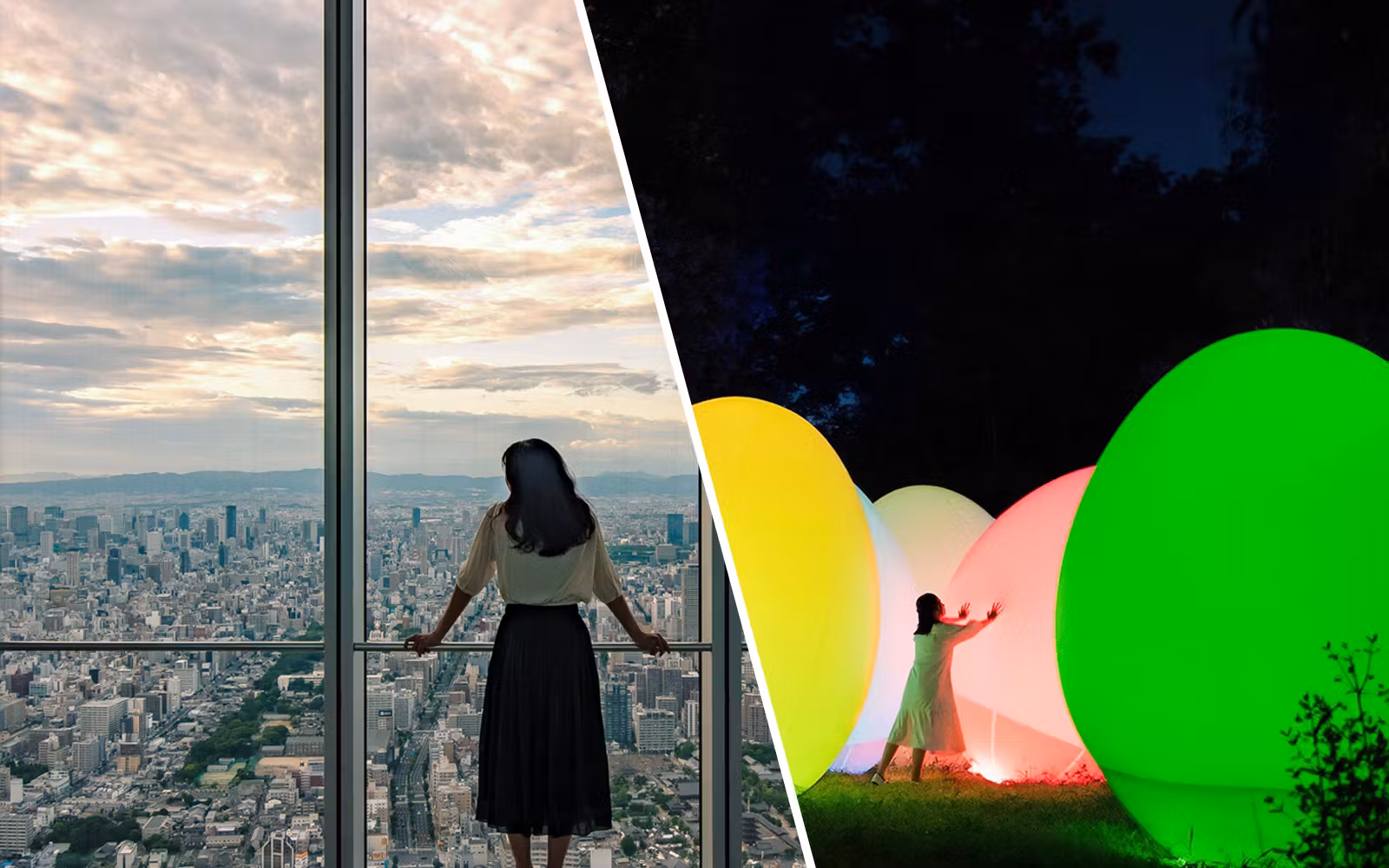 Combo (Save 1%): Harukas 300 Observatory + teamLab Botanical Garden