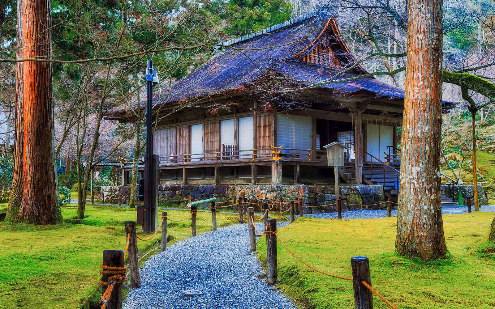 From Osaka: Arashiyama & Bamboo Grove Tour tickets in Osaka - Attractions | TickYourList