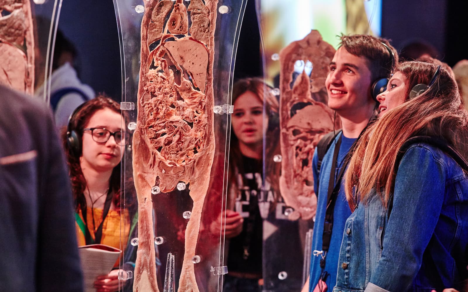 Skip-the-Line Tickets to the Human Bodies Exhibition with Audio Guide