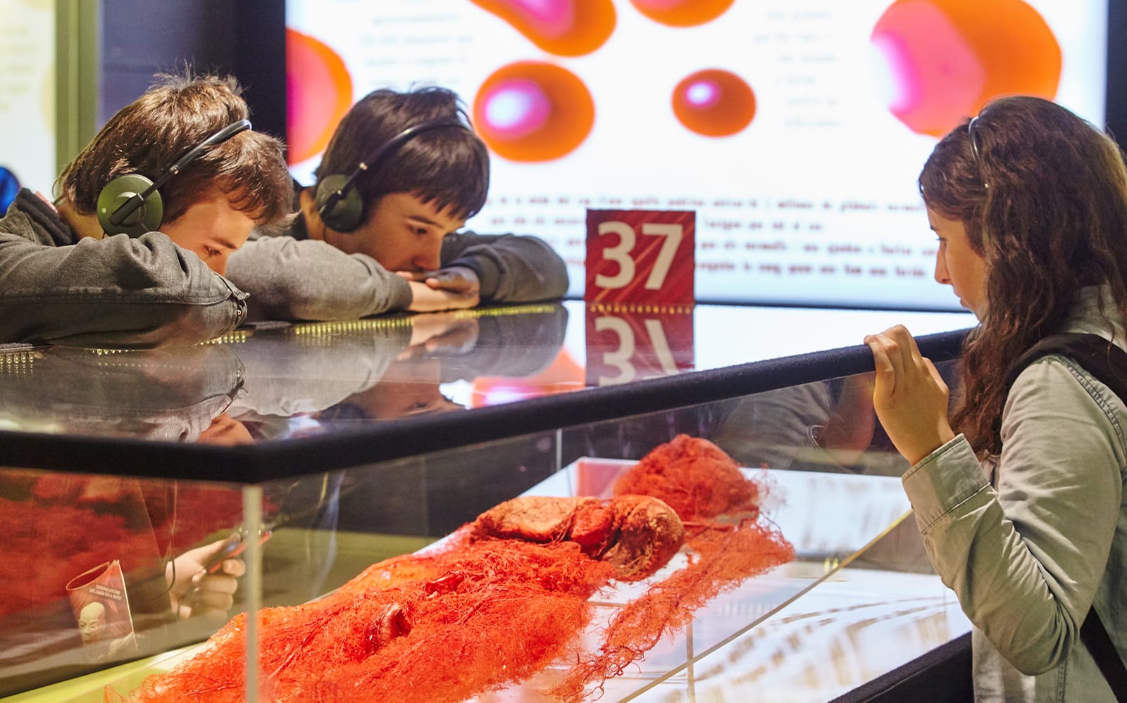Skip-the-Line Tickets to the Human Bodies Exhibition with Audio Guide in Barcelona - Attractions | TickYourList
