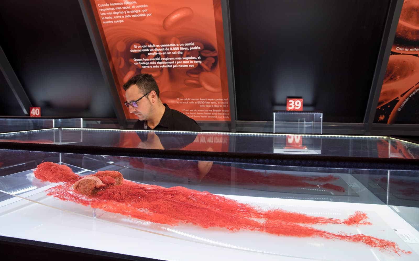 Skip-the-Line Tickets to the Human Bodies Exhibition with Audio Guide in Barcelona - Activities | TickYourList