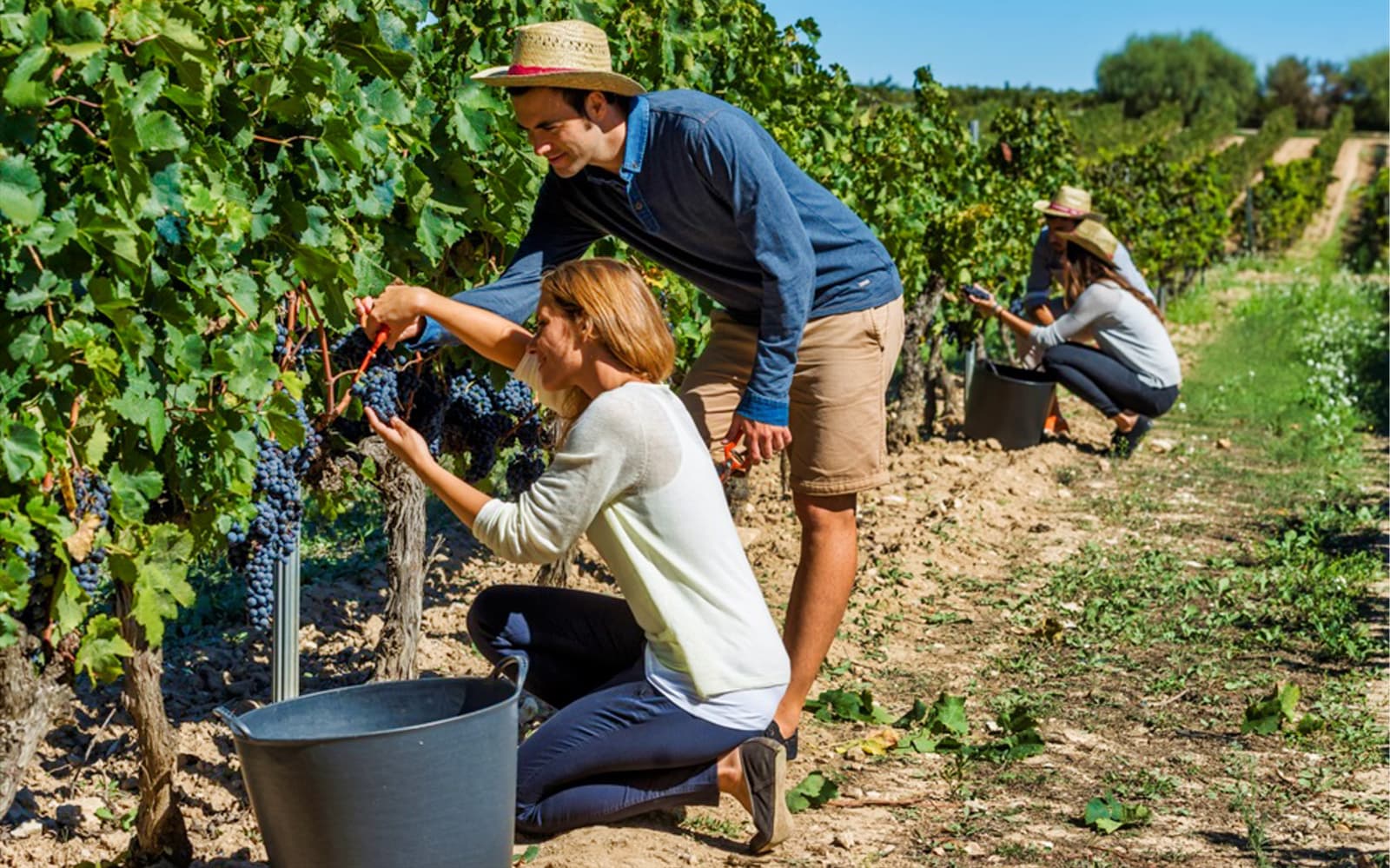 El Penedès Hike & Wines Tour