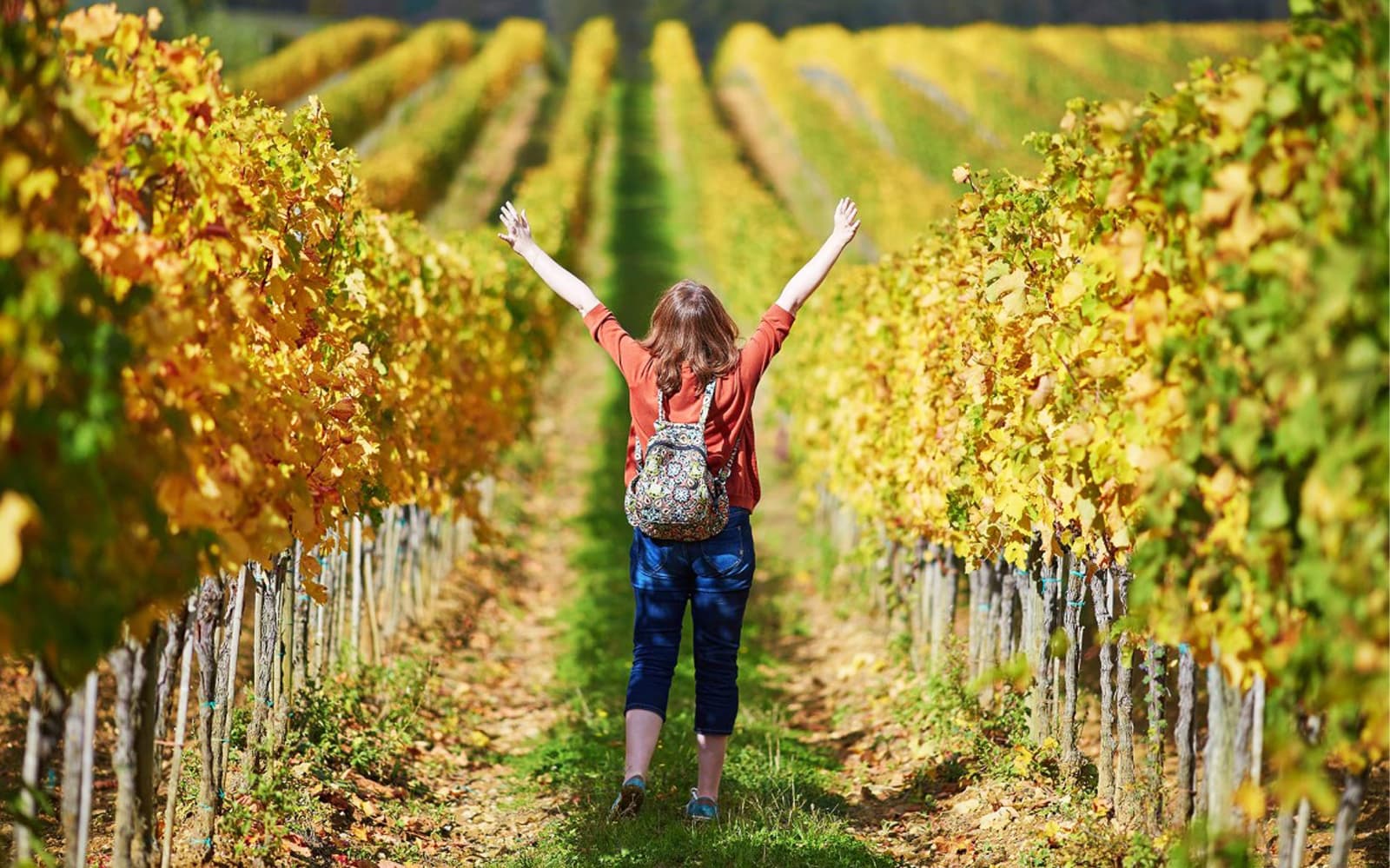 El Penedès Hike & Wines Tour tickets in Barcelona - Attractions | TickYourList