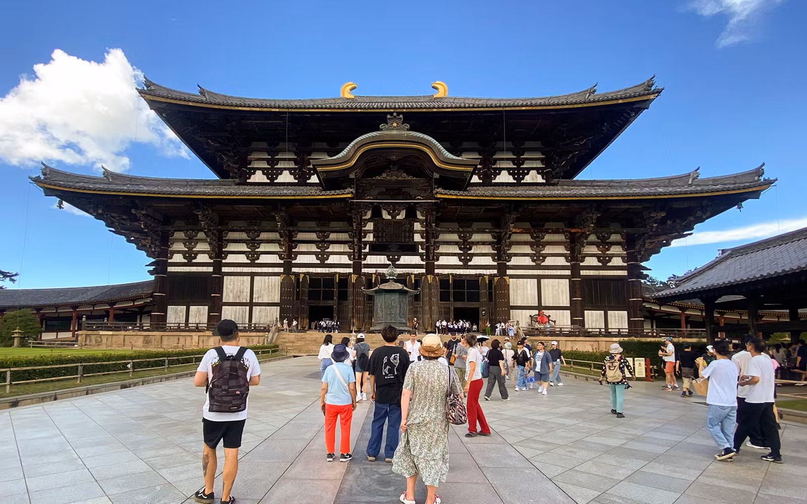 Discover Nara Kyoto and Fushimi Inari from Osaka experience tickets in Osaka | TickYourList