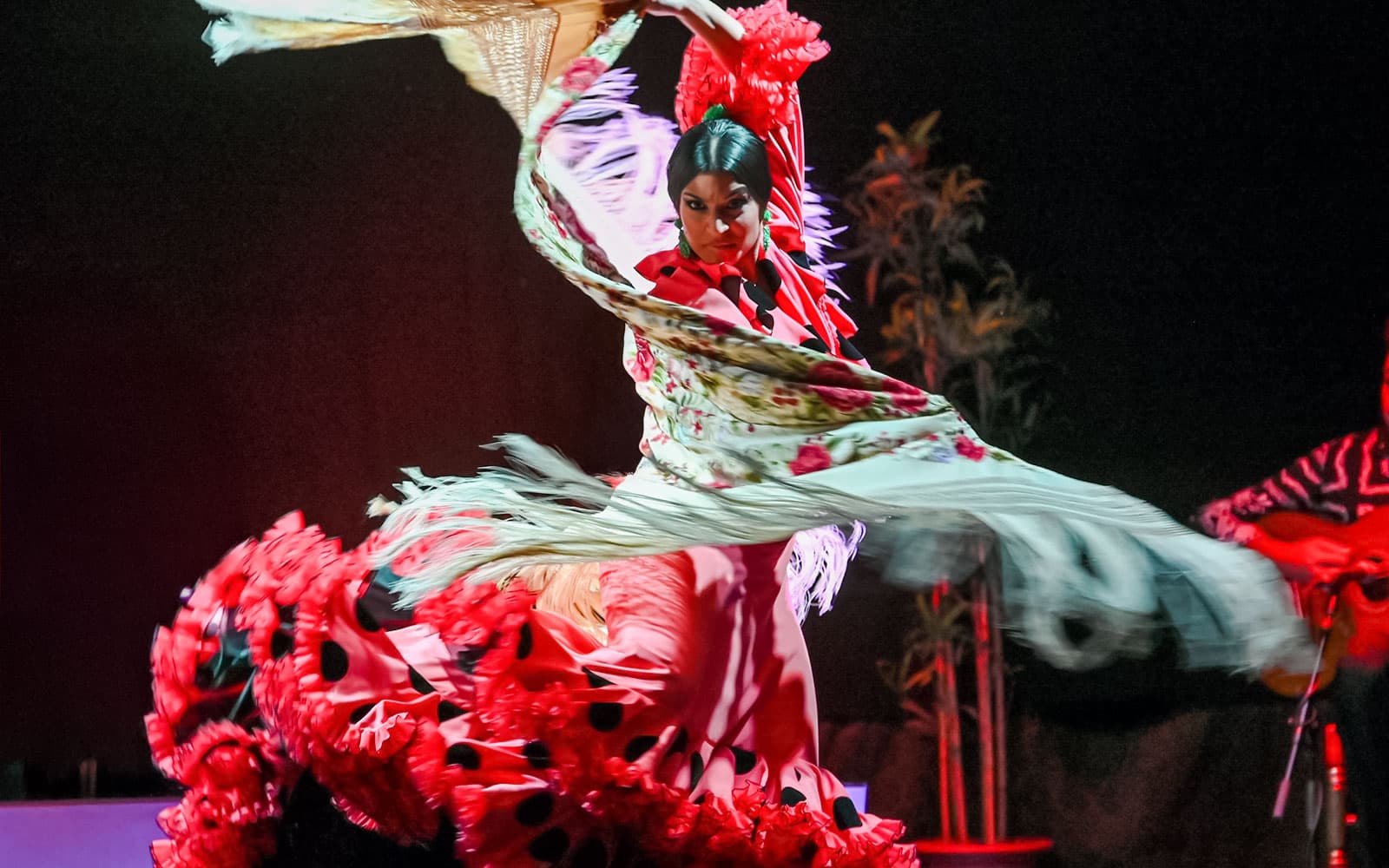 Palau Dalmases - Flamenco Show
