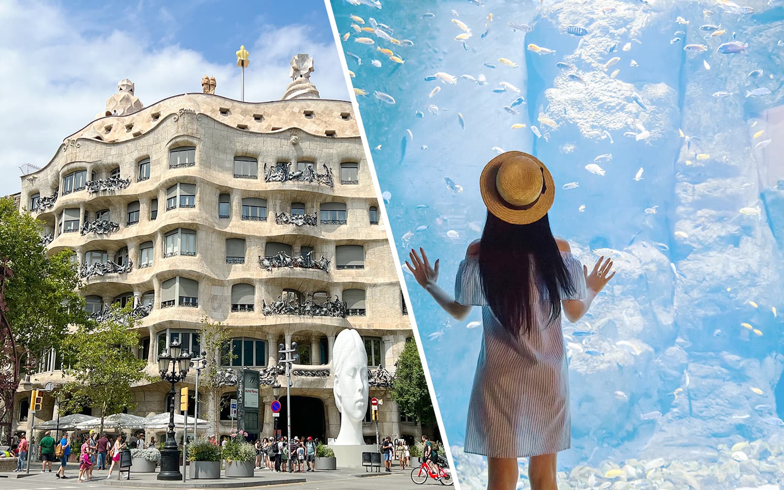 Combo: La Pedrera-Casa Milà + Aquarium Tickets
