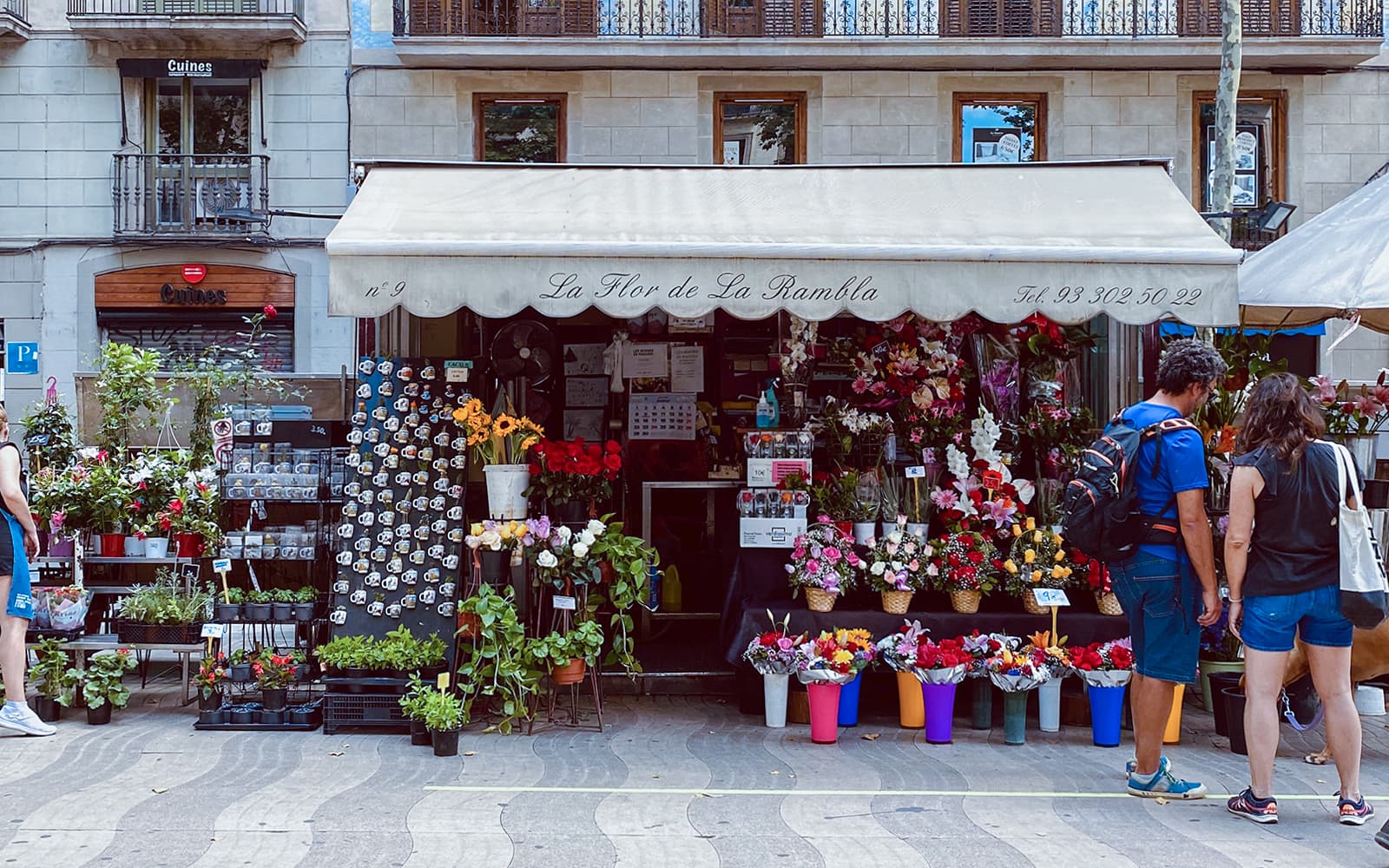 Barcelona Gothic Quarter Korean/Japanese/Chinese-Guided Tour with Flamenco Show tickets in Barcelona - Attractions | TickYourList
