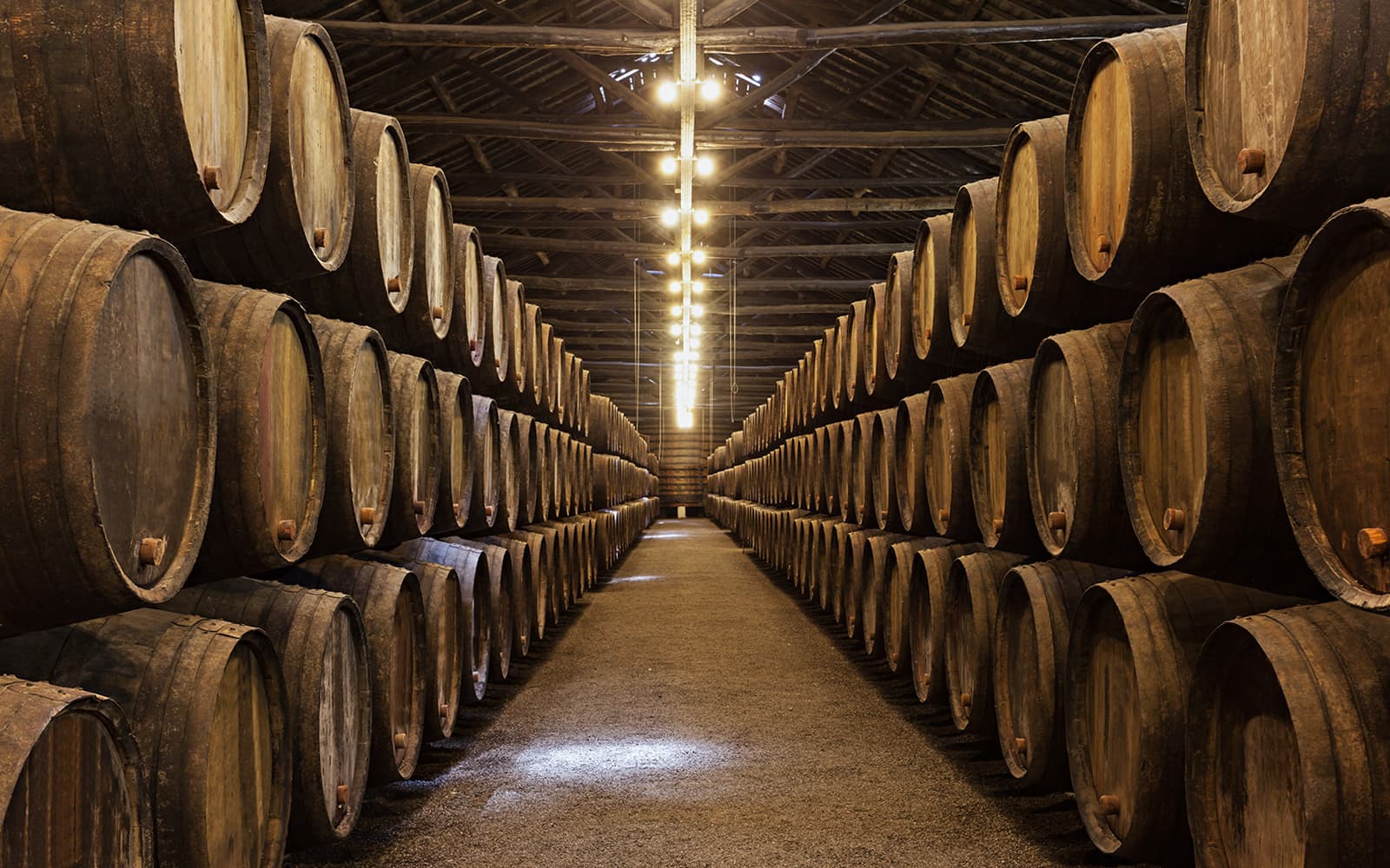 Guided Wine Cellar Visit with Tasting from Barcelona tickets in Barcelona - Highlights | TickYourList