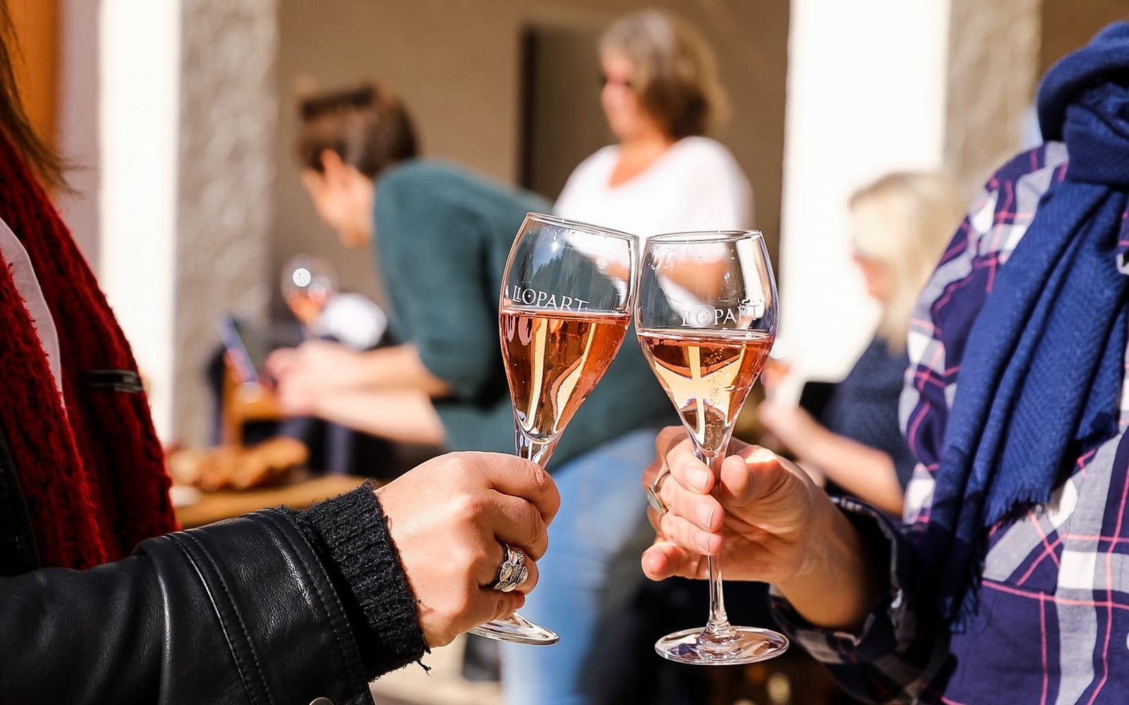 6-Hour Wine Tasting Tour with Snacks in Barcelona experience tickets in Barcelona | TickYourList