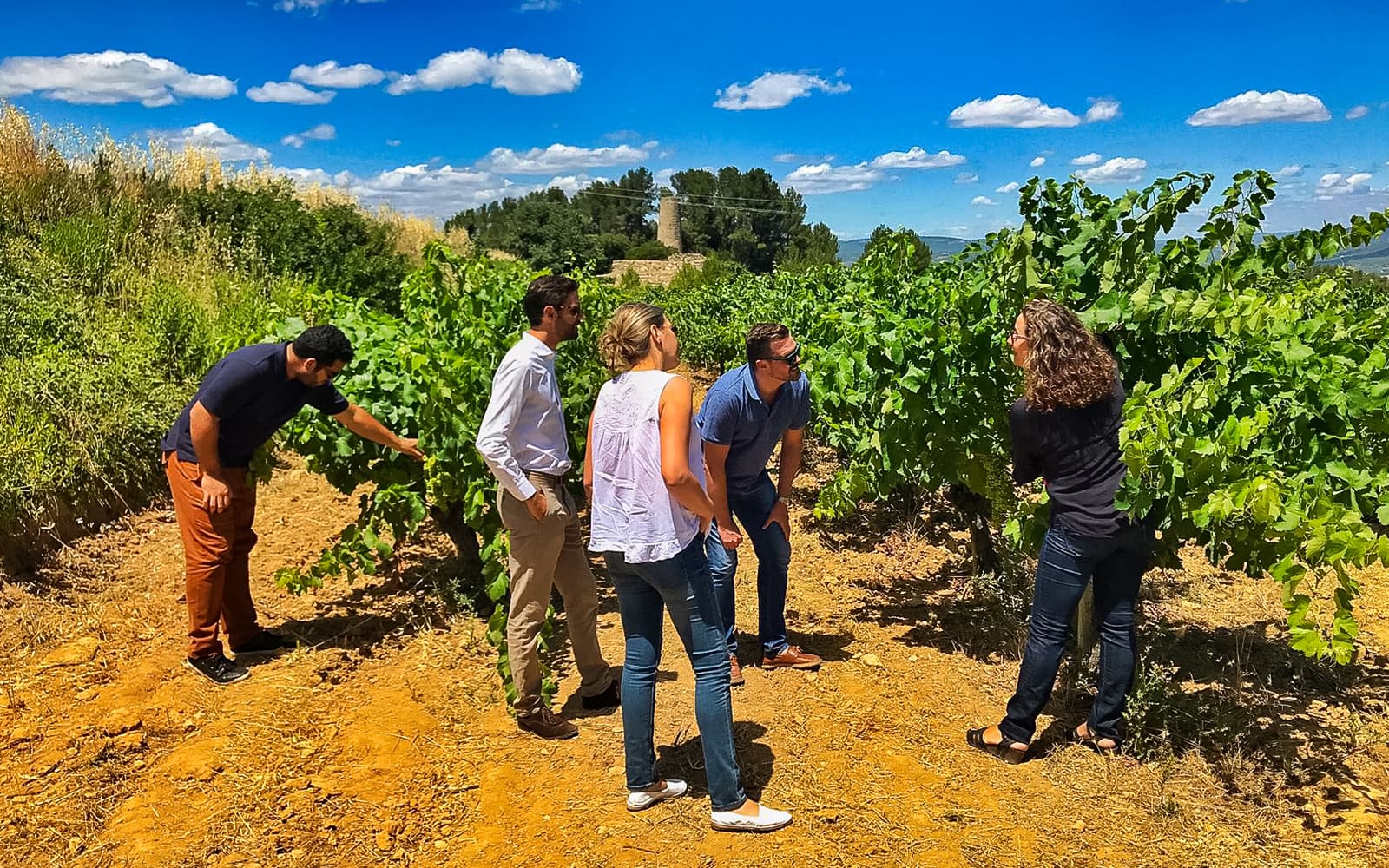 6-Hour Wine Tasting Tour with Snacks in Barcelona tickets in Barcelona - Attractions | TickYourList