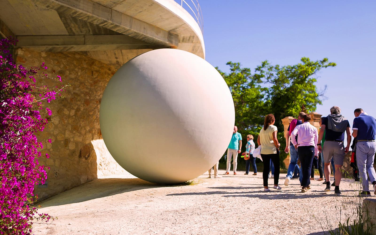 6-Hour Wine Tasting Tour with Snacks in Barcelona tickets in Barcelona - Activities | TickYourList