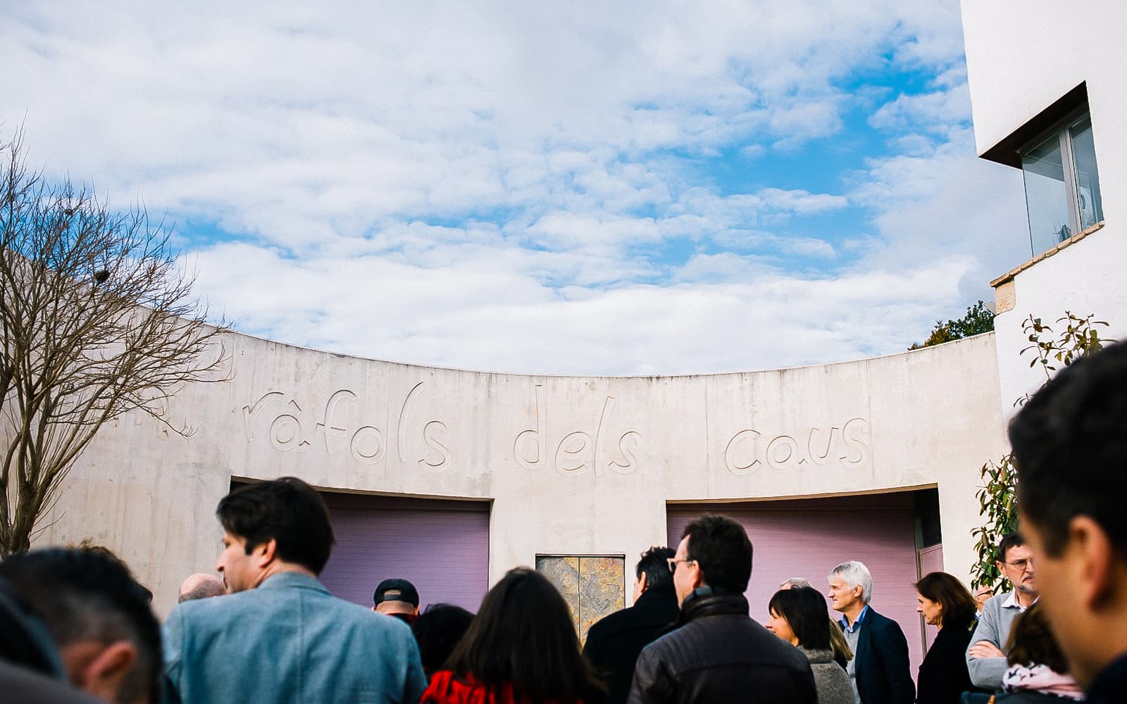6-Hour Wine Tasting Tour with Snacks in Barcelona tickets in Barcelona - Highlights | TickYourList