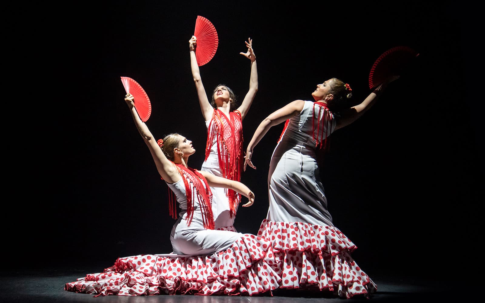 Teatro Flamenco Barcelona - Inspiration Show