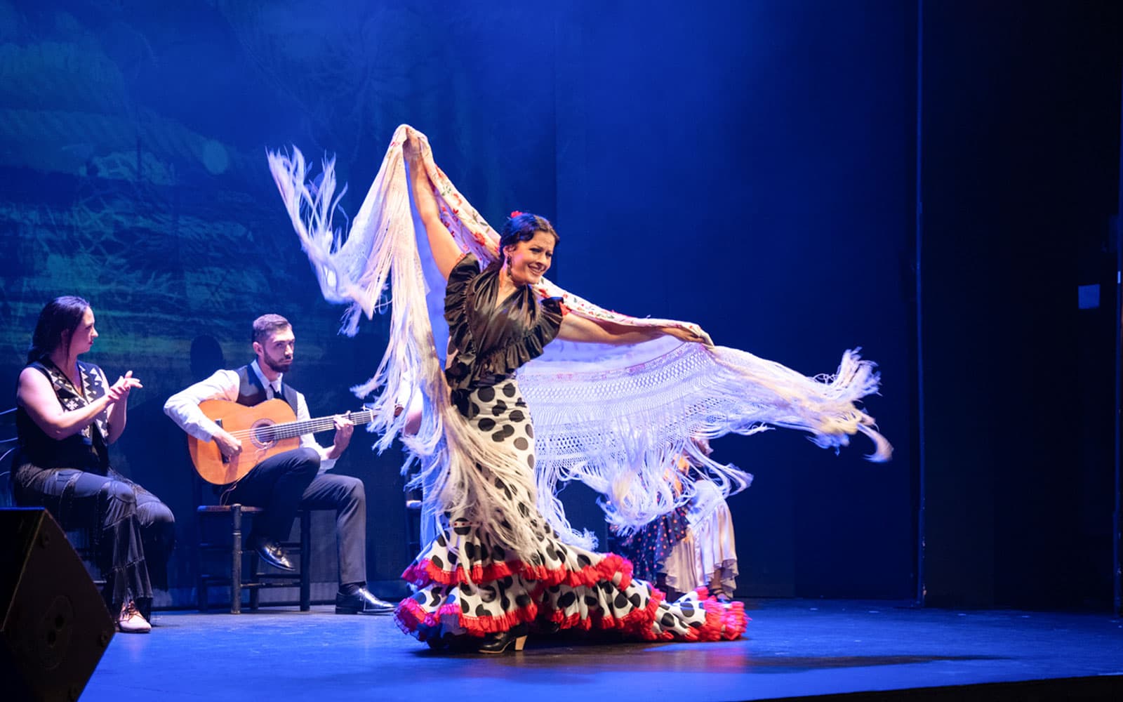 Teatro Flamenco Barcelona - Inspiration Show tickets in Barcelona - Full Experience | TickYourList
