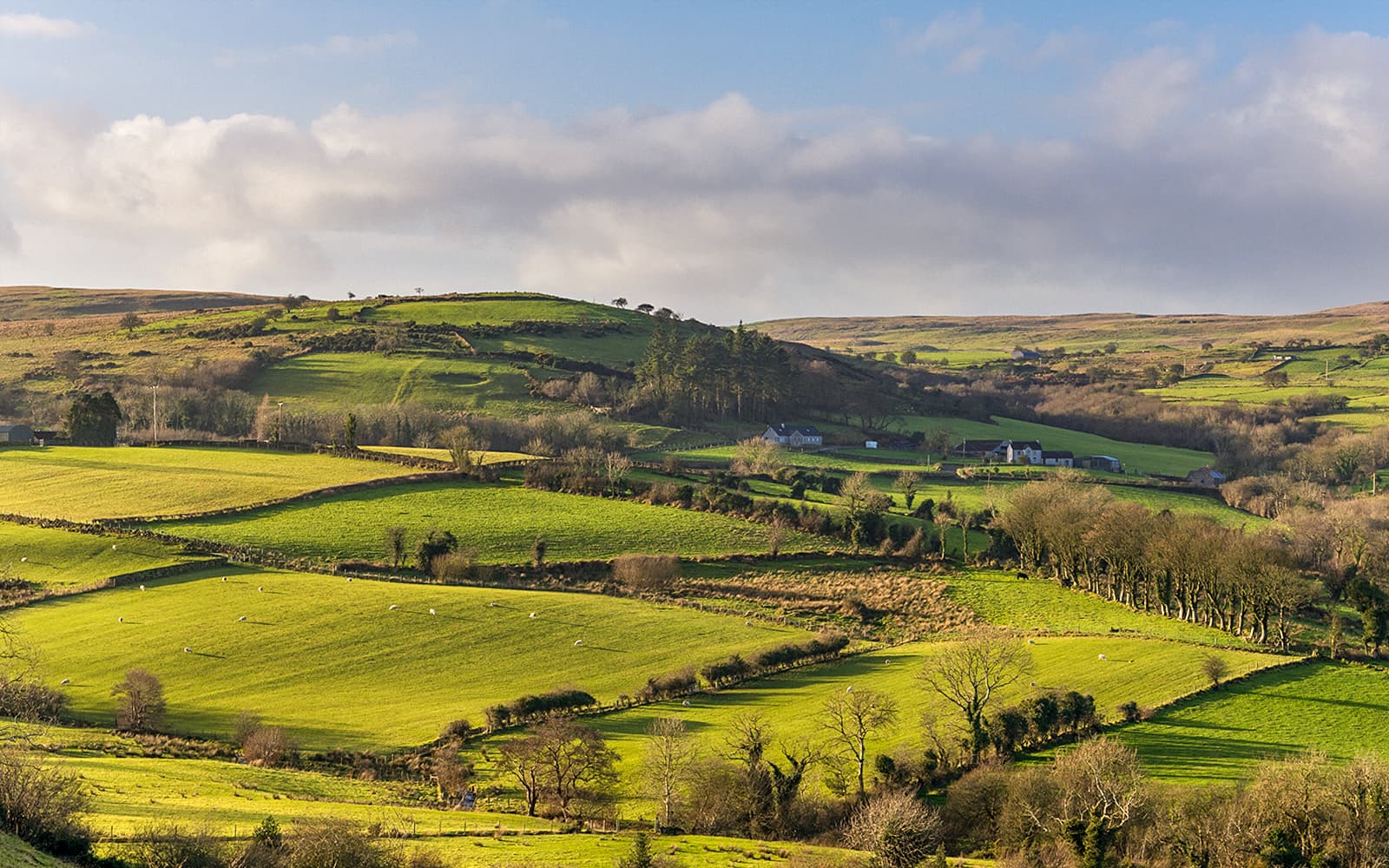 From Belfast: Game of Thrones Filming Locations Full-Day Guided Tour tickets in Belfast - Highlights | TickYourList