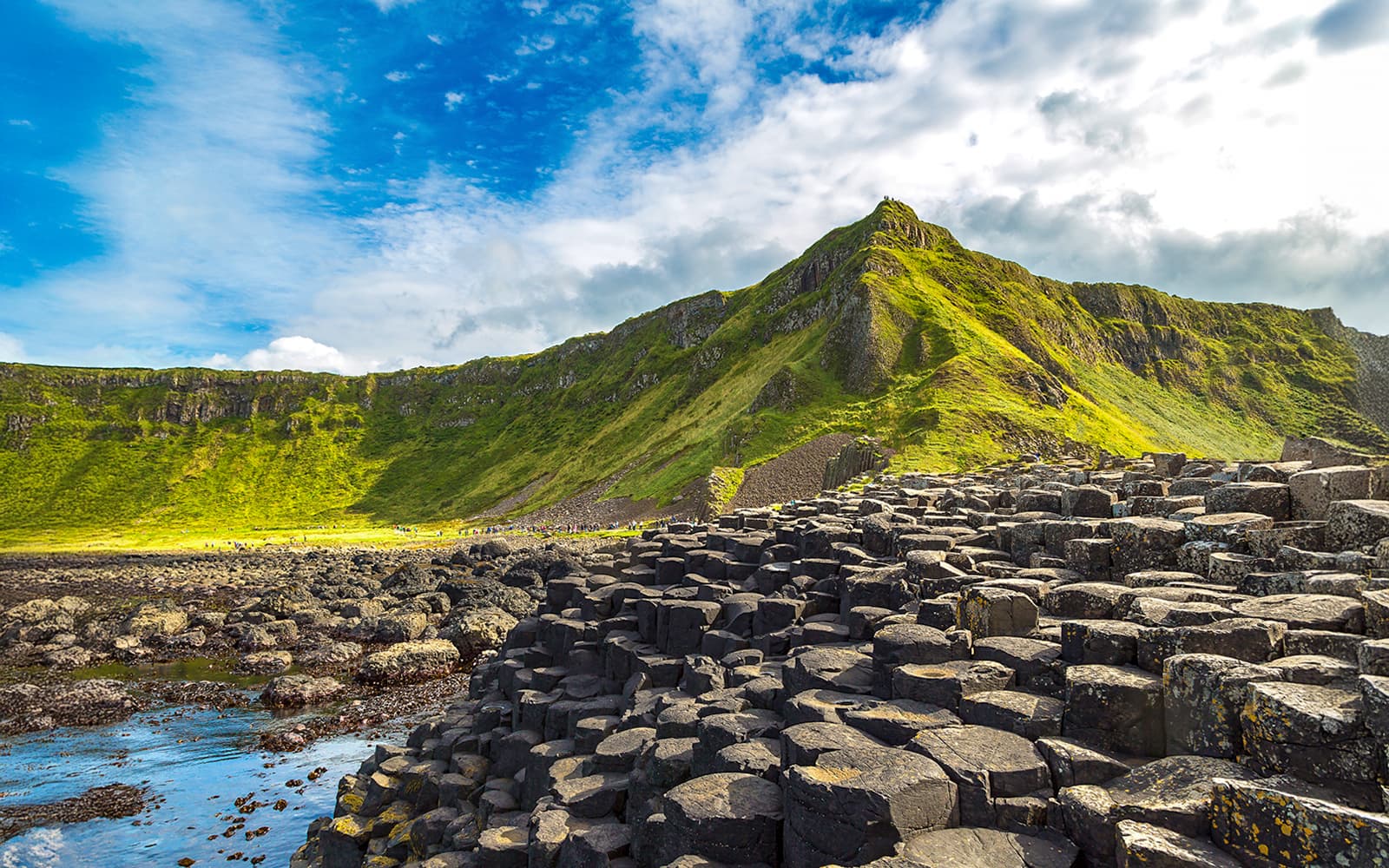 From Dublin: Giants Causeway, Dunluce Castle, Dark Hedges and Belfast