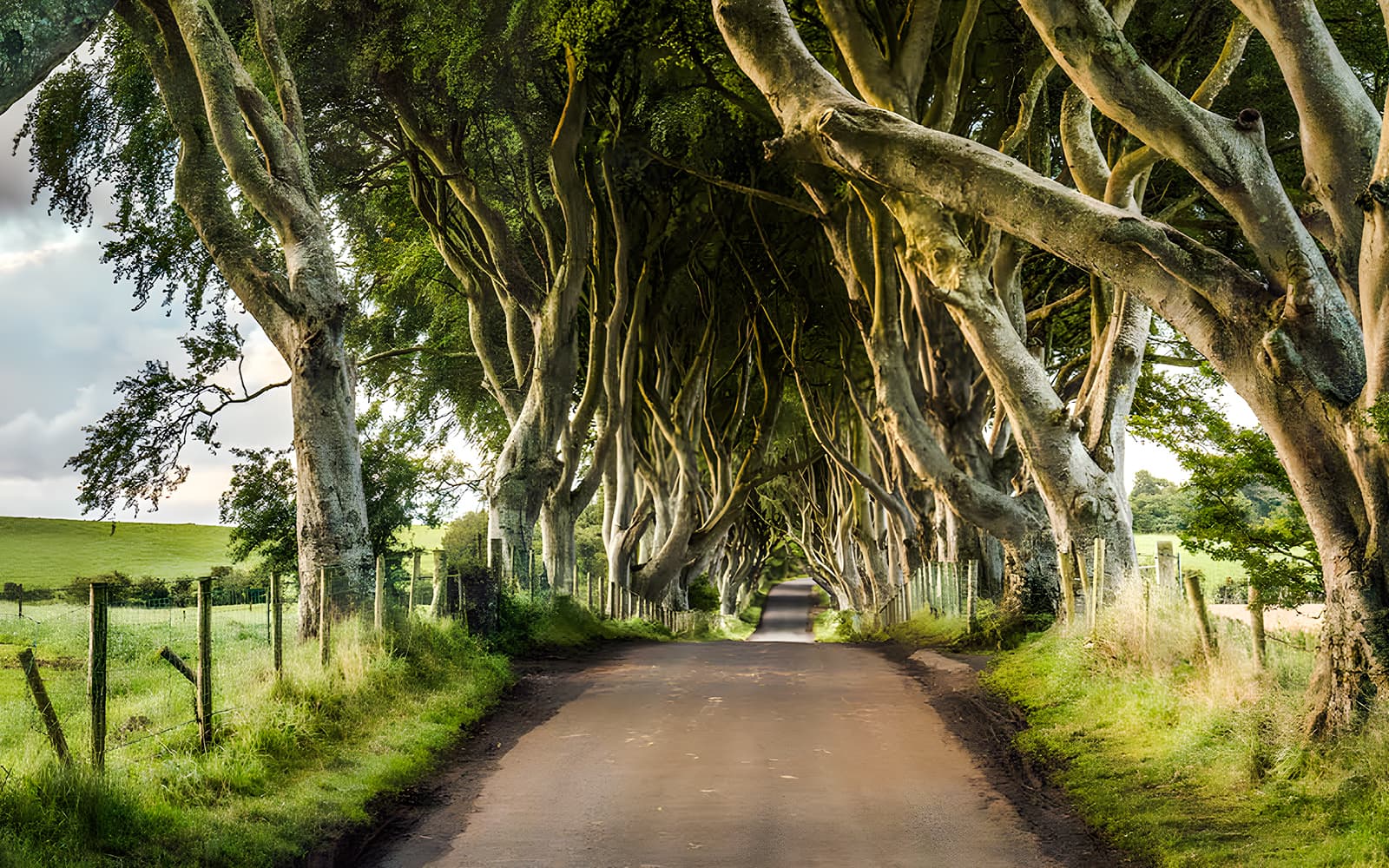 From Belfast: Giant’s Causeway and Titanic Experience tickets in Belfast - Highlights | TickYourList