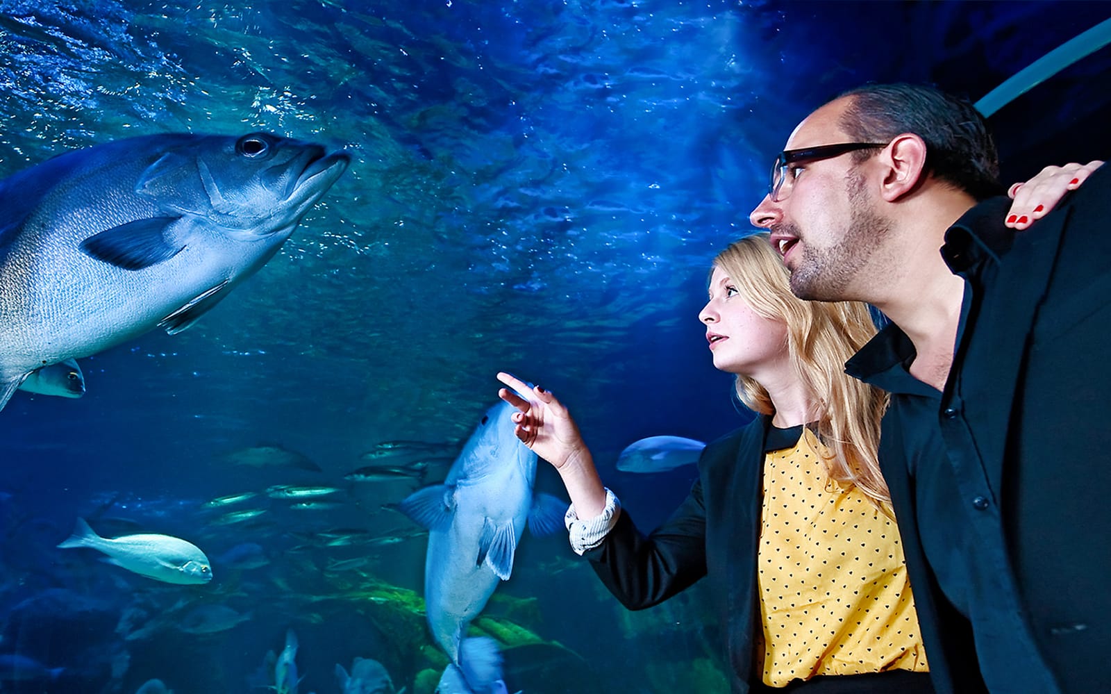 SEA LIFE Berlin Tickets in Berlin - Attractions | TickYourList