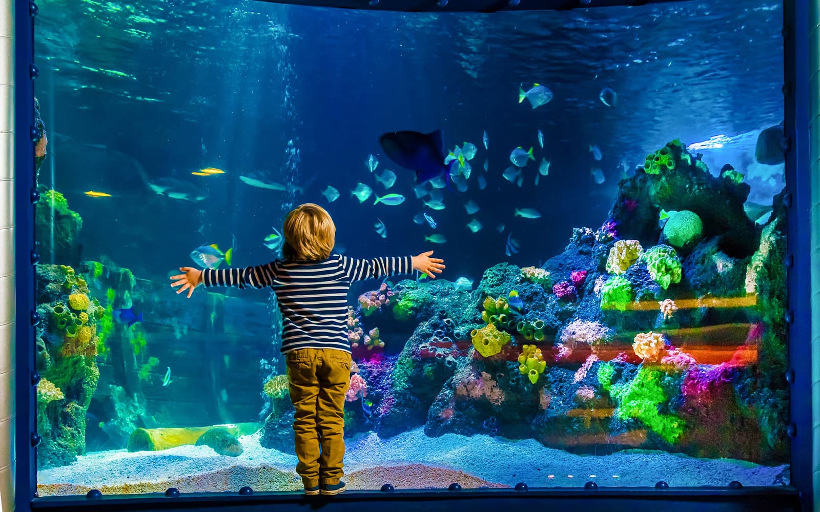 SEA LIFE Berlin Tickets in Berlin - Discover | TickYourList