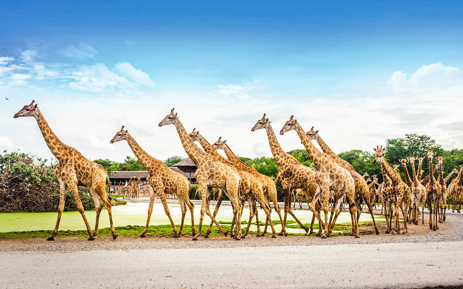 Safari World Tickets with Transfers