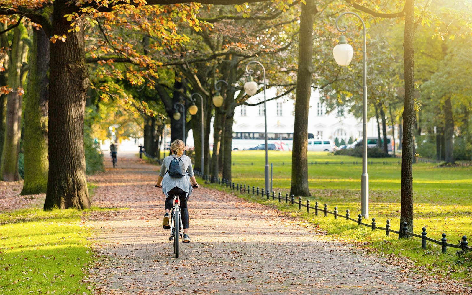 3-Hour Guided Bike Tour of Mitte & Tiergarten tickets in Berlin - Full Experience | TickYourList