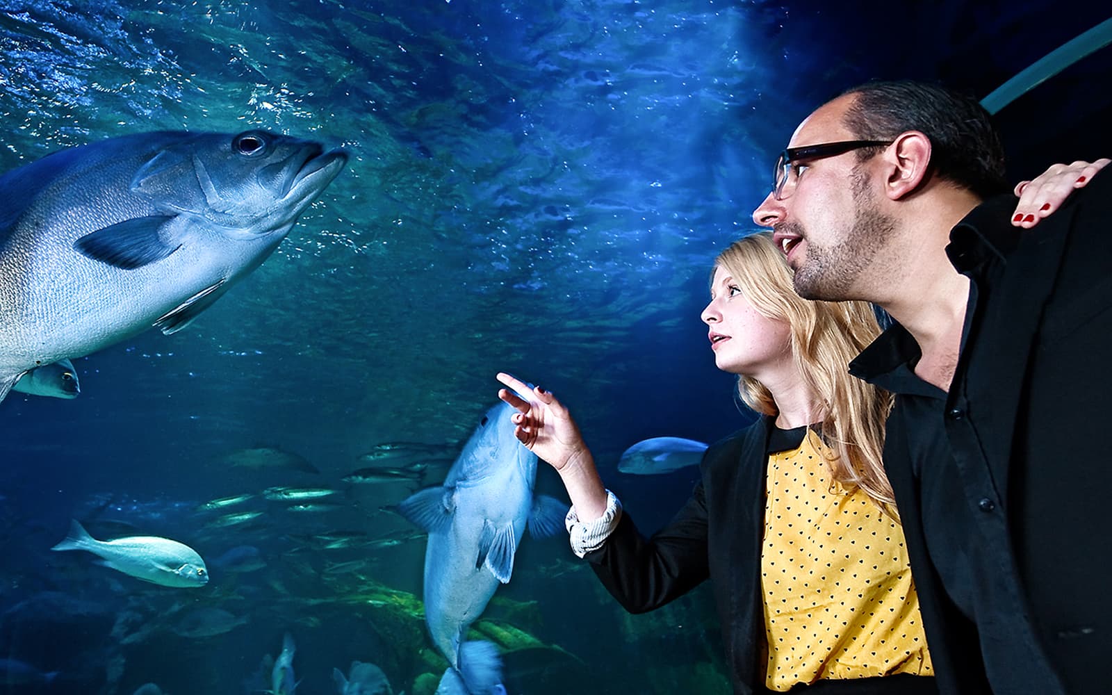 Combo: SEA LIFE + Berlin Dungeon Tickets