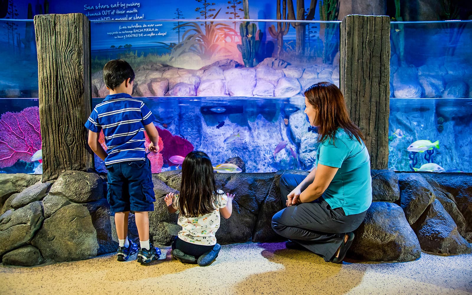 Combo: SEA LIFE + Berlin Dungeon Tickets in Berlin - Attractions | TickYourList