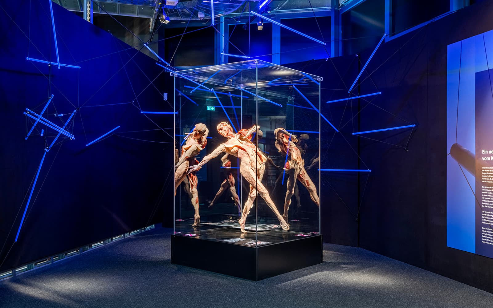 Berlin BODY WORLDS Museum Tickets in Berlin - Attractions | TickYourList