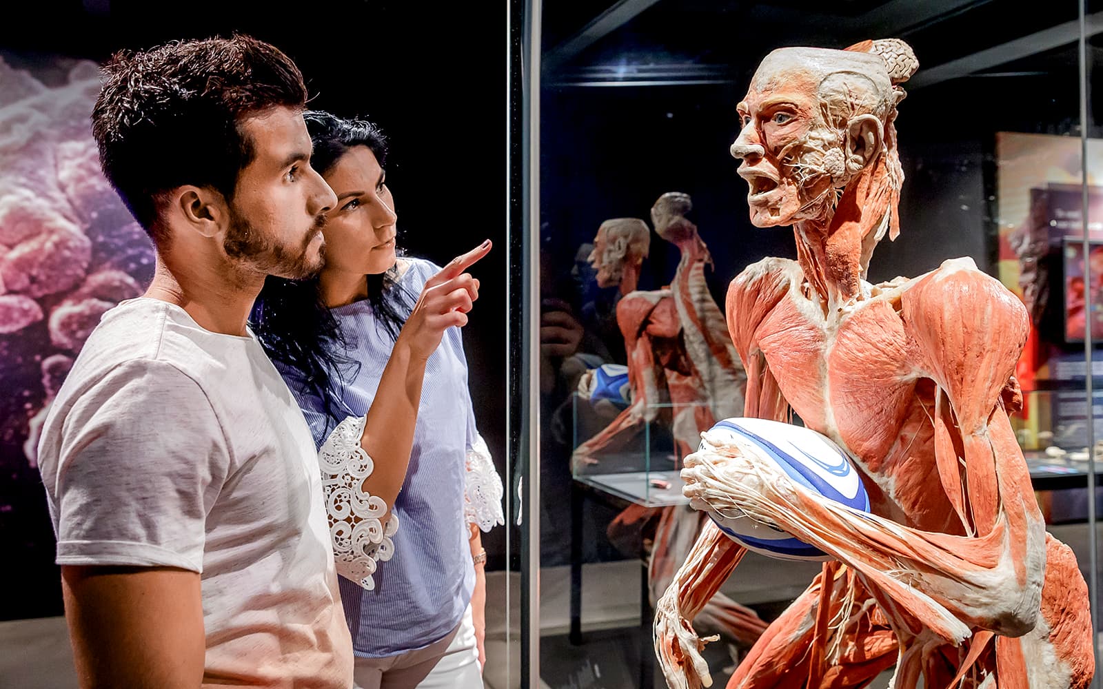 Berlin BODY WORLDS Museum Tickets in Berlin - Activities | TickYourList