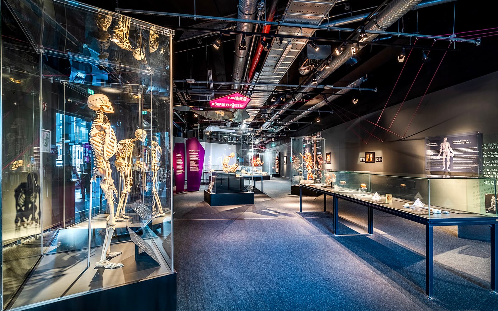 Berlin BODY WORLDS Museum Tickets in Berlin - Highlights | TickYourList