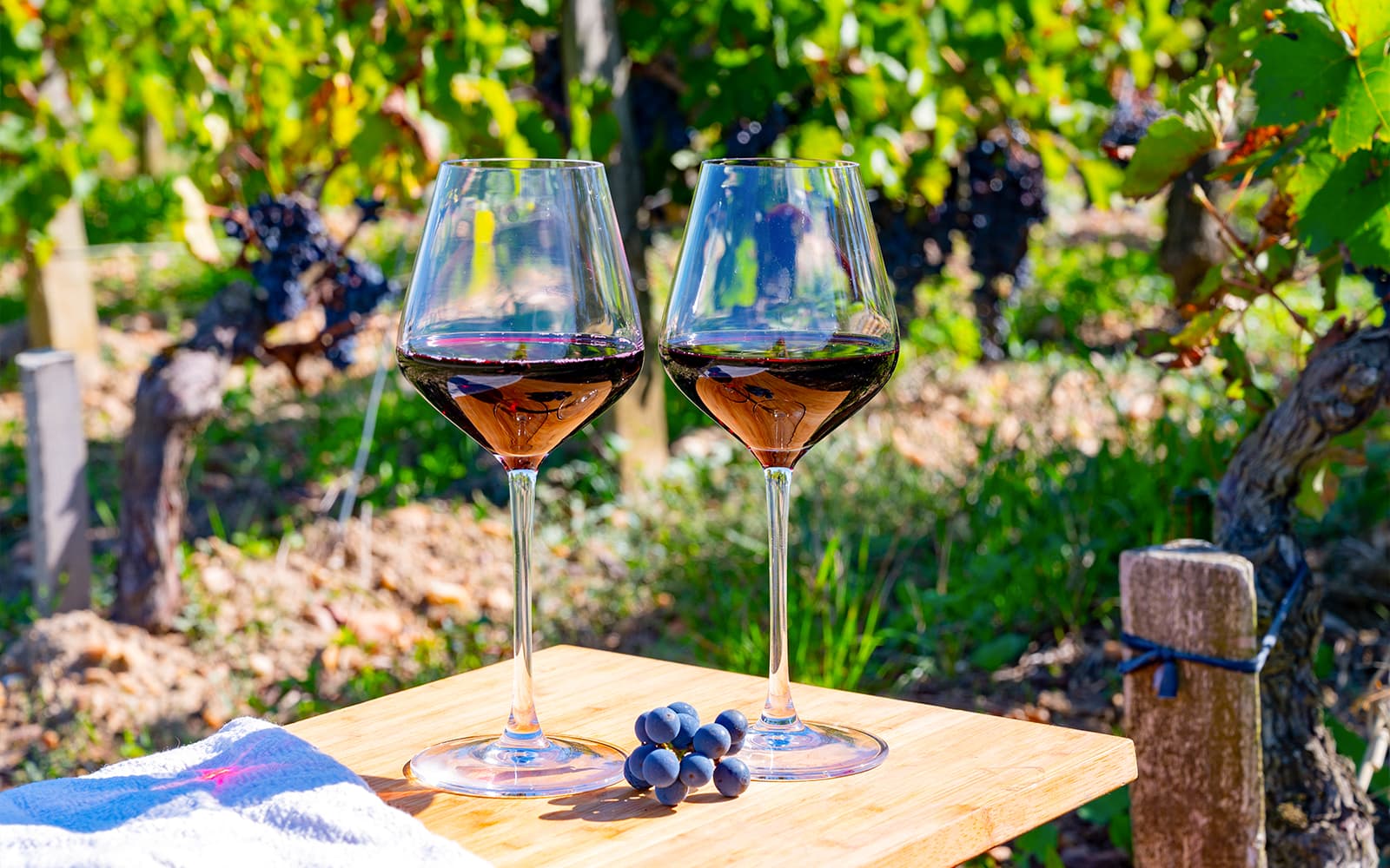 From Bordeaux: Saint-Émilion Half-Day Guided Tour