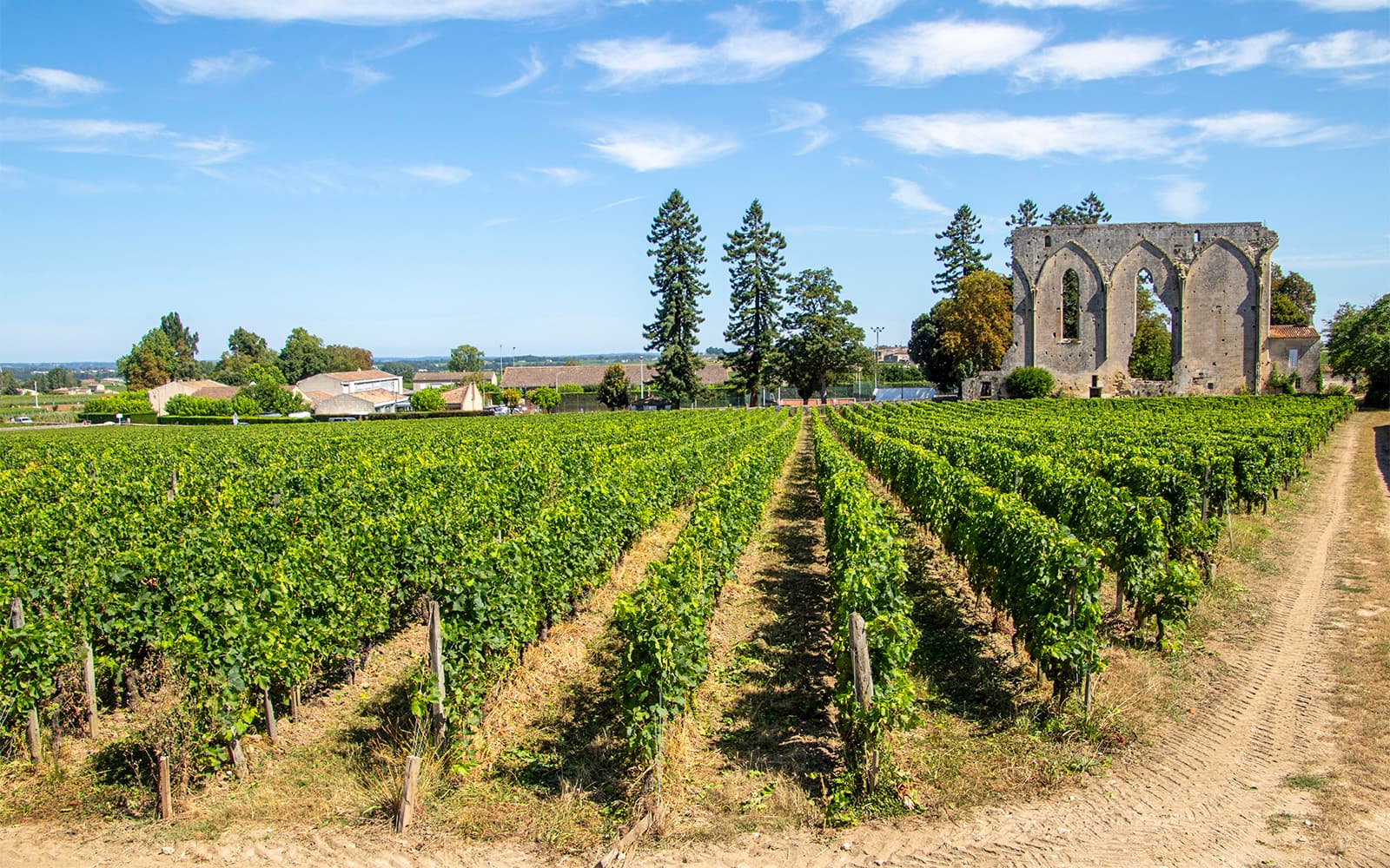 From Bordeaux: Saint-Émilion Half-Day Guided Tour tickets in Bordeaux - Activities | TickYourList